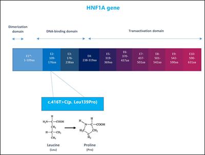 Genetic testing for maturity-onset diabetes of the young resulting in an upgraded genetic classification of an HNF1A gene variant: a case report